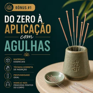 Bônus #1 — Do Zero à Aplicação com Agulhas